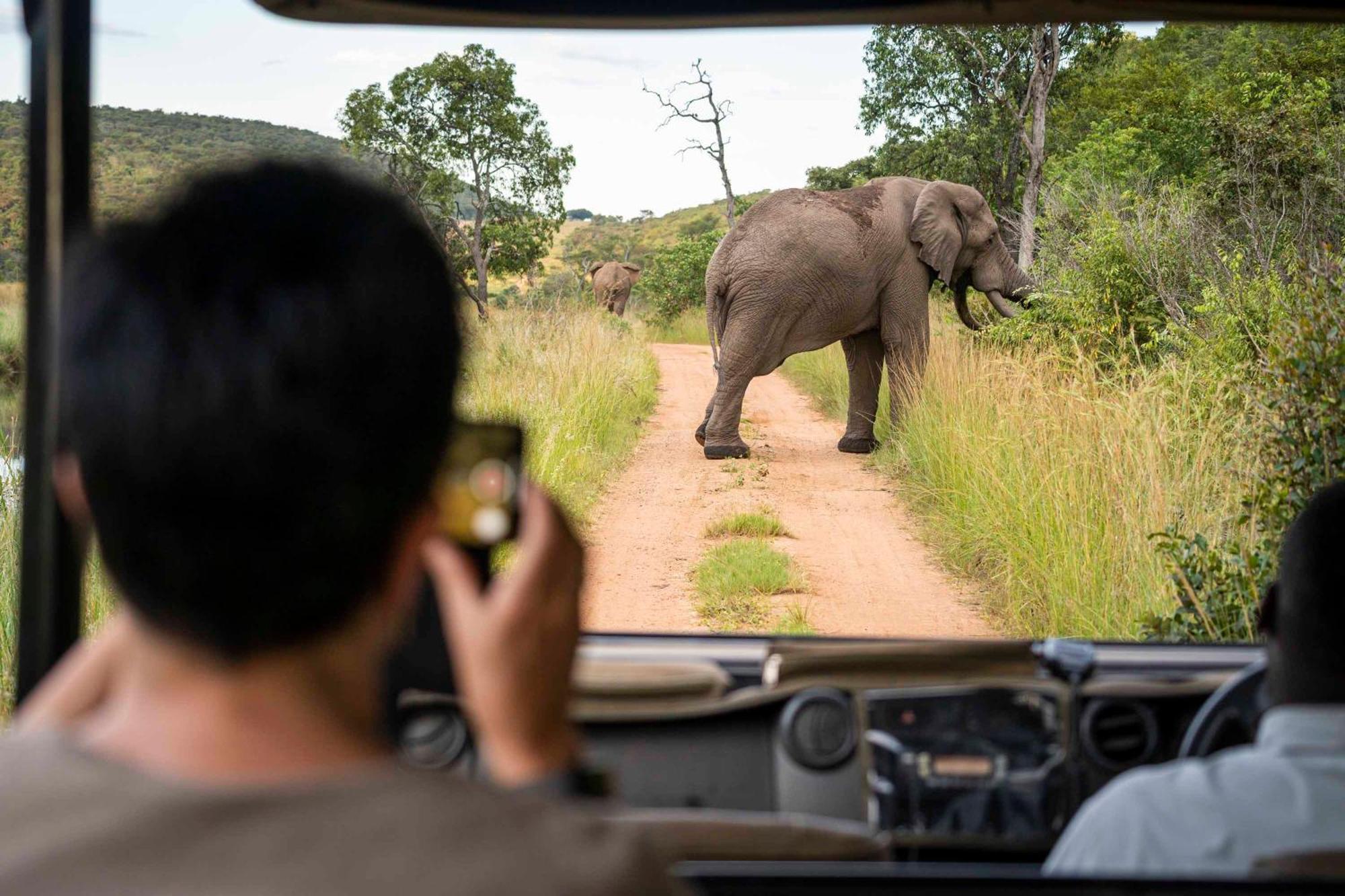 Tshwene Lodge Ваальватер Экстерьер фото