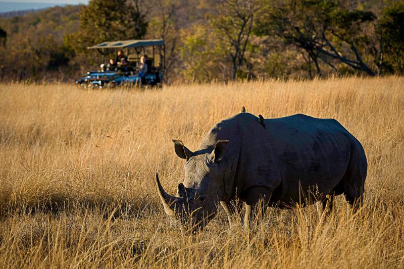 Tshwene Lodge Ваальватер Экстерьер фото