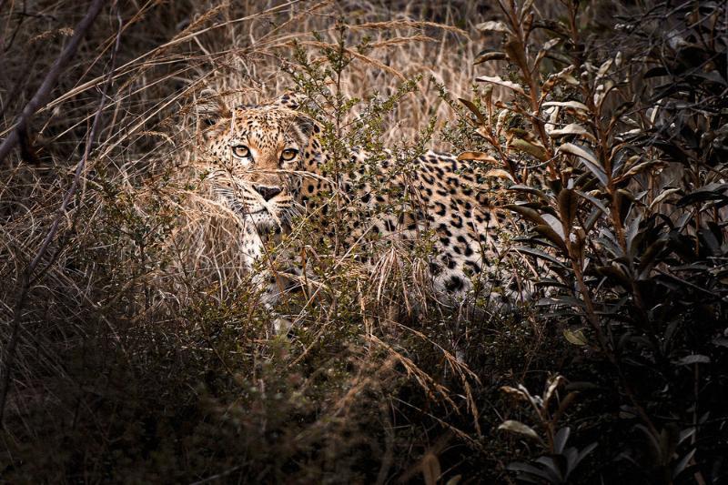 Tshwene Lodge Ваальватер Экстерьер фото