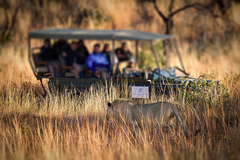 Tshwene Lodge Ваальватер Экстерьер фото